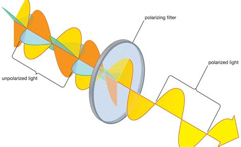 The Physics of Polarization 